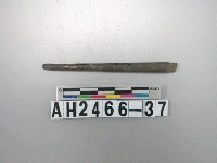 藏品(石針殘件)的圖片